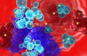 With a median follow-up of 6 months from diagnosis and 15 months from diagnosis, 0% of the 17 evaluable patients reported any progression events.