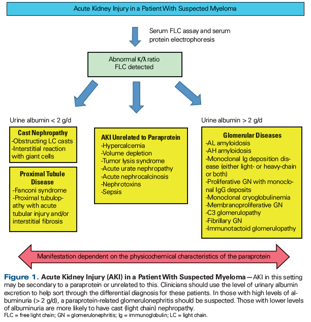 Acute Kidney Injury In Patients With Cancer