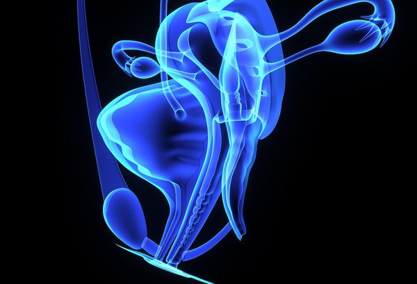 Two studies showed that 1-time cell therapies can elicit complete tumor regression in patients with advanced epithelial cancers.