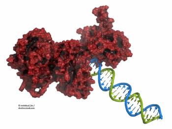 PARP inhibitor, ovarian cancer