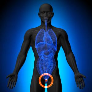 Olaparib Leads to Increased Survival for Patients with Metastatic Castration-Resistant Prostate Cancer