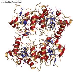 Kelly Morgan, MS, CGC, on Exploring Targeted Testing for the Ashkenazi Jewish BRCA Mutation