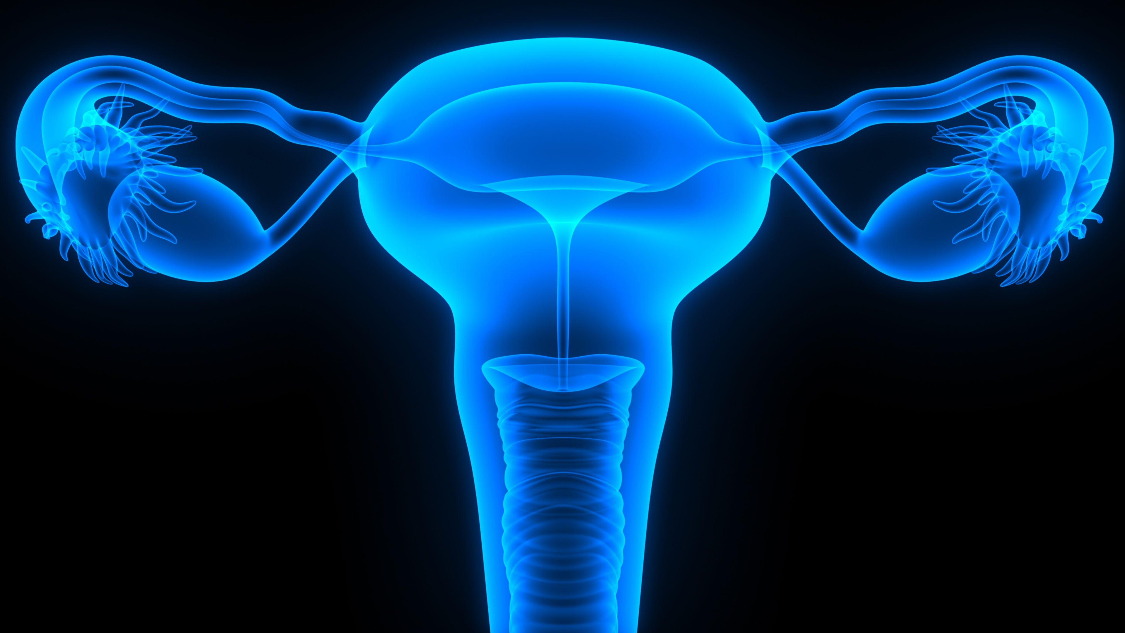 ovarian cancer news 2021 ce este condilomul și cum este periculos
