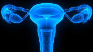 Niraparib Produced Tolerable Safety Profile When Treating Platinum-Sensitive Recurrent Ovarian Cancer