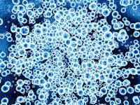 Phase 1 data show that anti-BCMA CAR-T cells can be generated directly within a patient without a need for leukapheresis and lymphodepleting chemotherapy. 