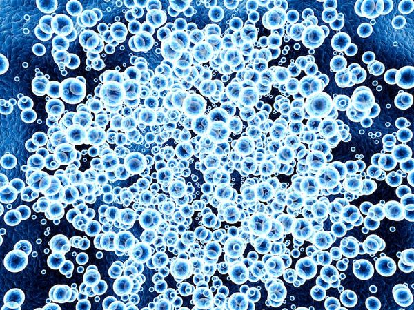 Phase 1 data show that anti-BCMA CAR-T cells can be generated directly within a patient without a need for leukapheresis and lymphodepleting chemotherapy.