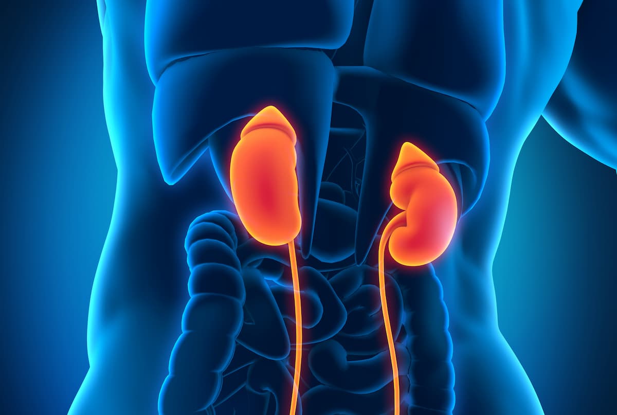 Efficacy Highlighted In Fianlimab Cemiplimab In Pretreated Advanced Ccrcc Efficacy Highlighted In Fianlimab Cemiplimab In Pretreated Advanced Ccrcc