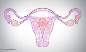 Nivolumab May Induce Promising Efficacy Outcomes in Certain Gynecologic Malignancies
