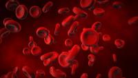 Poster presentations at SOHO 2026 may inform practice across acute lymphoblastic leukemia, acute myeloid leukemia, and chronic lymphocytic leukemia.