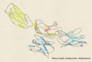 Encouraging Results Seen With PD-L1 Inhibitor in Early-Stage NSCLC