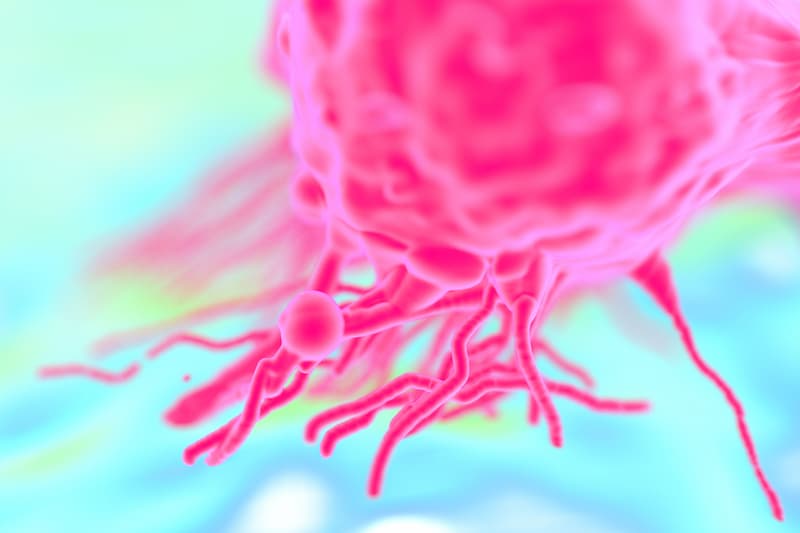 In September 2025, the FDA approved selumetinib granules and capsules for the treatment of pediatric patients who are 1 or older with neurofibromatosis type 1 and symptomatic, inoperable plexiform neurofibromas.