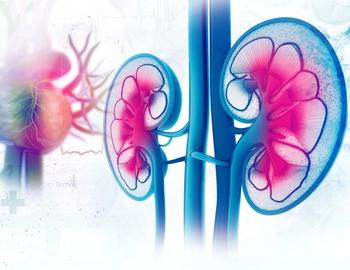 Despite the importance of incorporating palliative care into strategies for metastatic kidney cancer, little data exists in the space, highlighting a need for further research.
