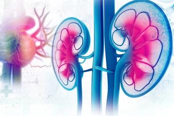 Despite the importance of incorporating palliative care into strategies for metastatic kidney cancer, little data exists in the space, highlighting a need for further research.