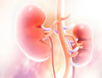 A select group of patients with metastatic renal cell carcinoma may benefit from cytoreductive nephrectomy followed by active surveillance as an alternative option to systemic therapy.