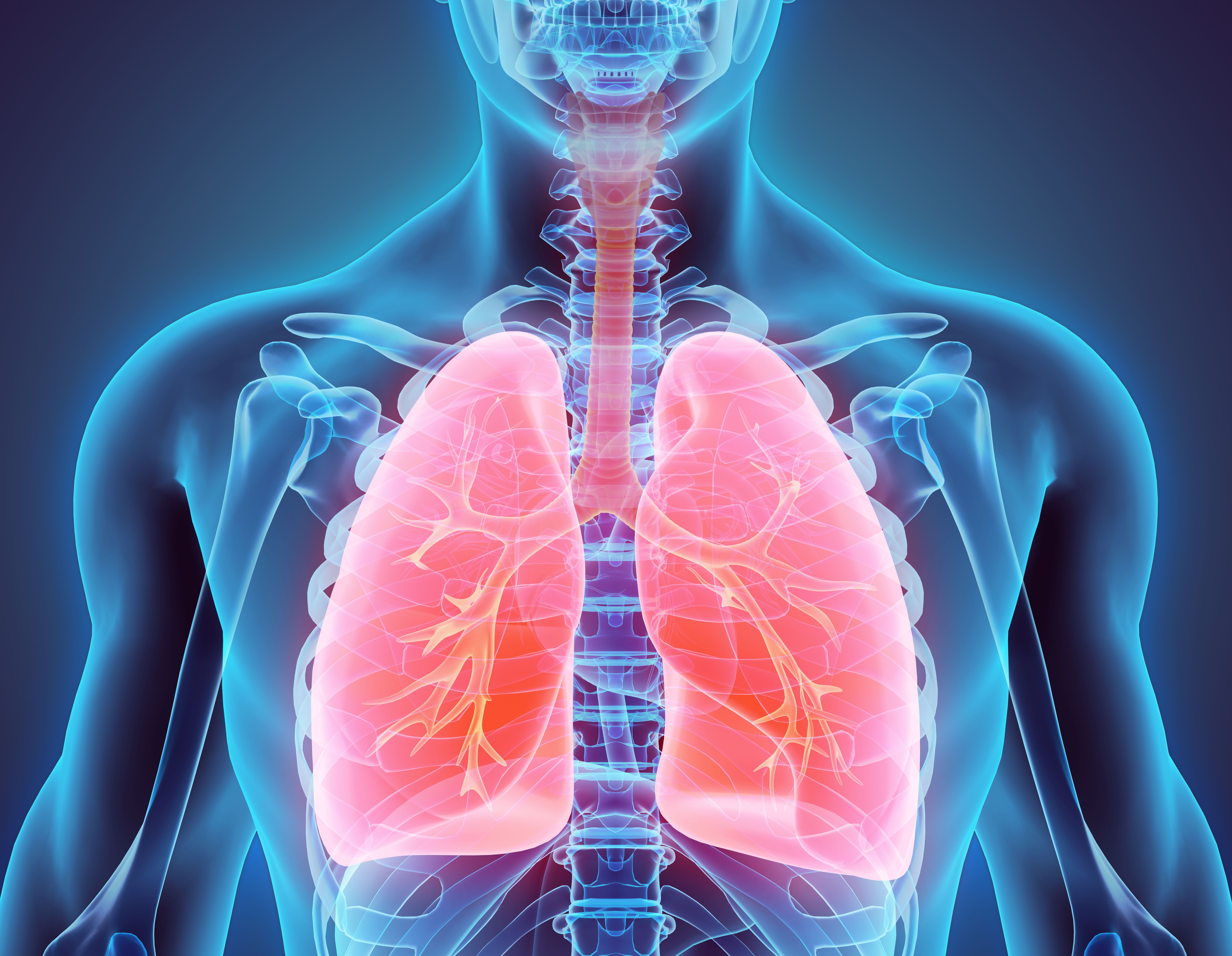 Различных заболеваниях органов и систем. Заболевания органов дыхания.