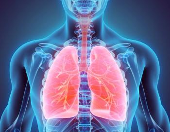 lungs