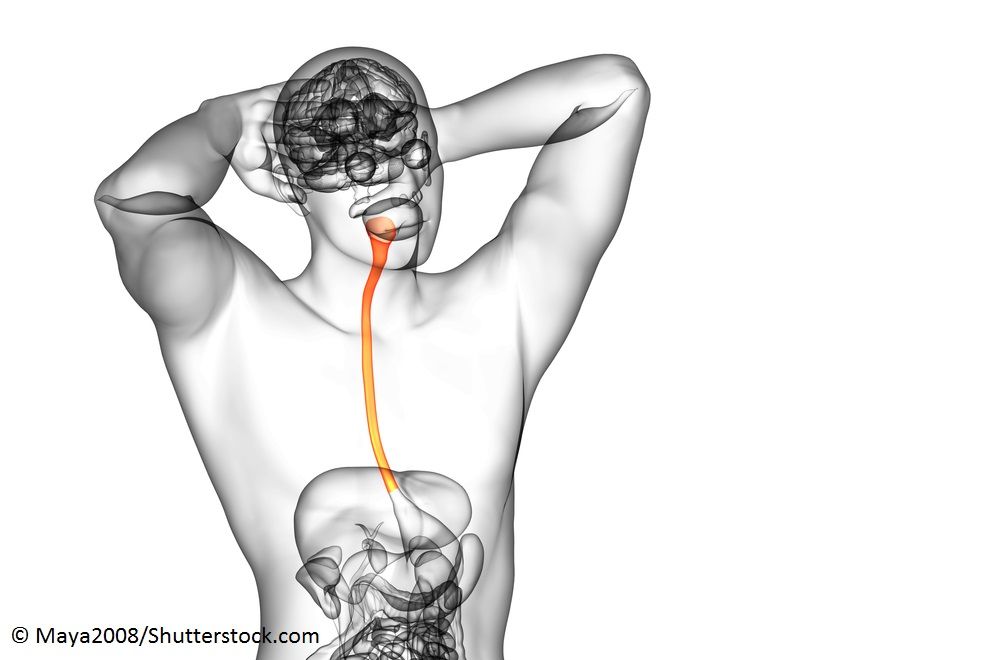 Safety outcomes, including the treatment-related AEs and AEs leading to treatment discontinuation, were consistent with or without lenvatinib in ESCC.