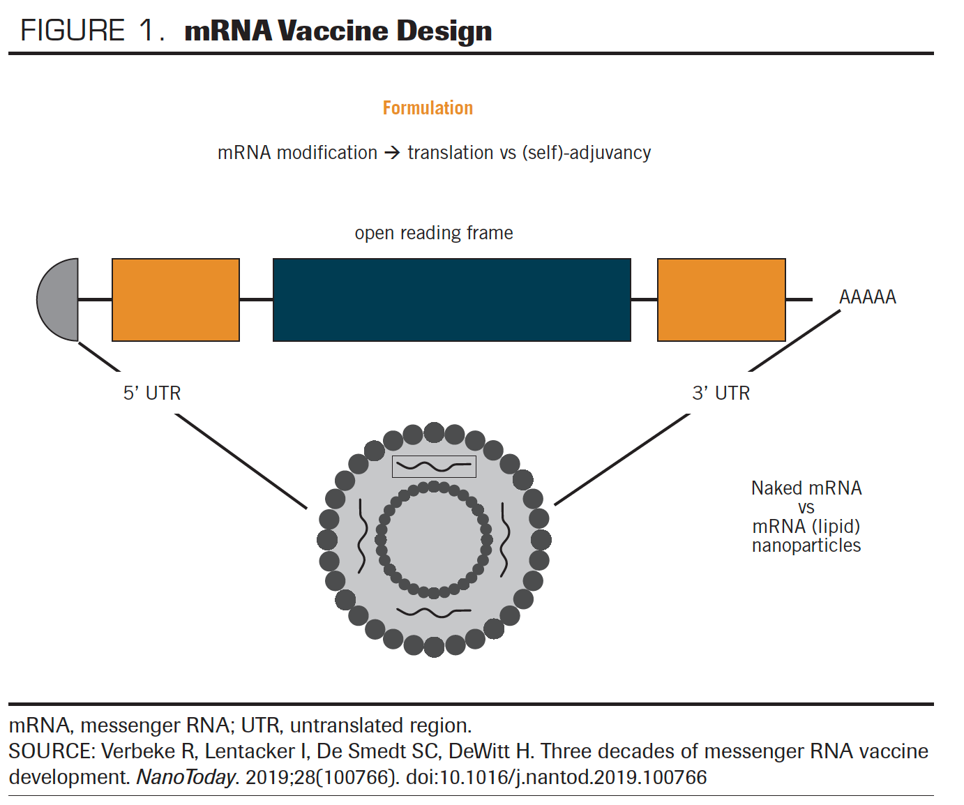 FIGURE 1. mRNA Vaccine Design