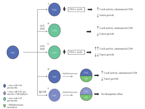 The Relationship Between Checkpoint Inhibitors and the Gut Microbiome and Its Application in Prostate Cancer