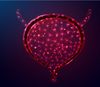 Perioperative Durvalumab/NAT Chemo Does Not Improve HRQOL in MIBC