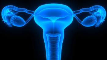 female reproductive system