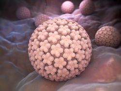 Decline in HPV-Related Cervical Cancer May Inform Screening and Vaccination Guidance for Other Tumor Types 