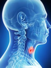 Triple-oral metronomic chemotherapy plus nivolumab elicited a median OS of 10.32 months in this head and neck squamous cell carcinoma population.