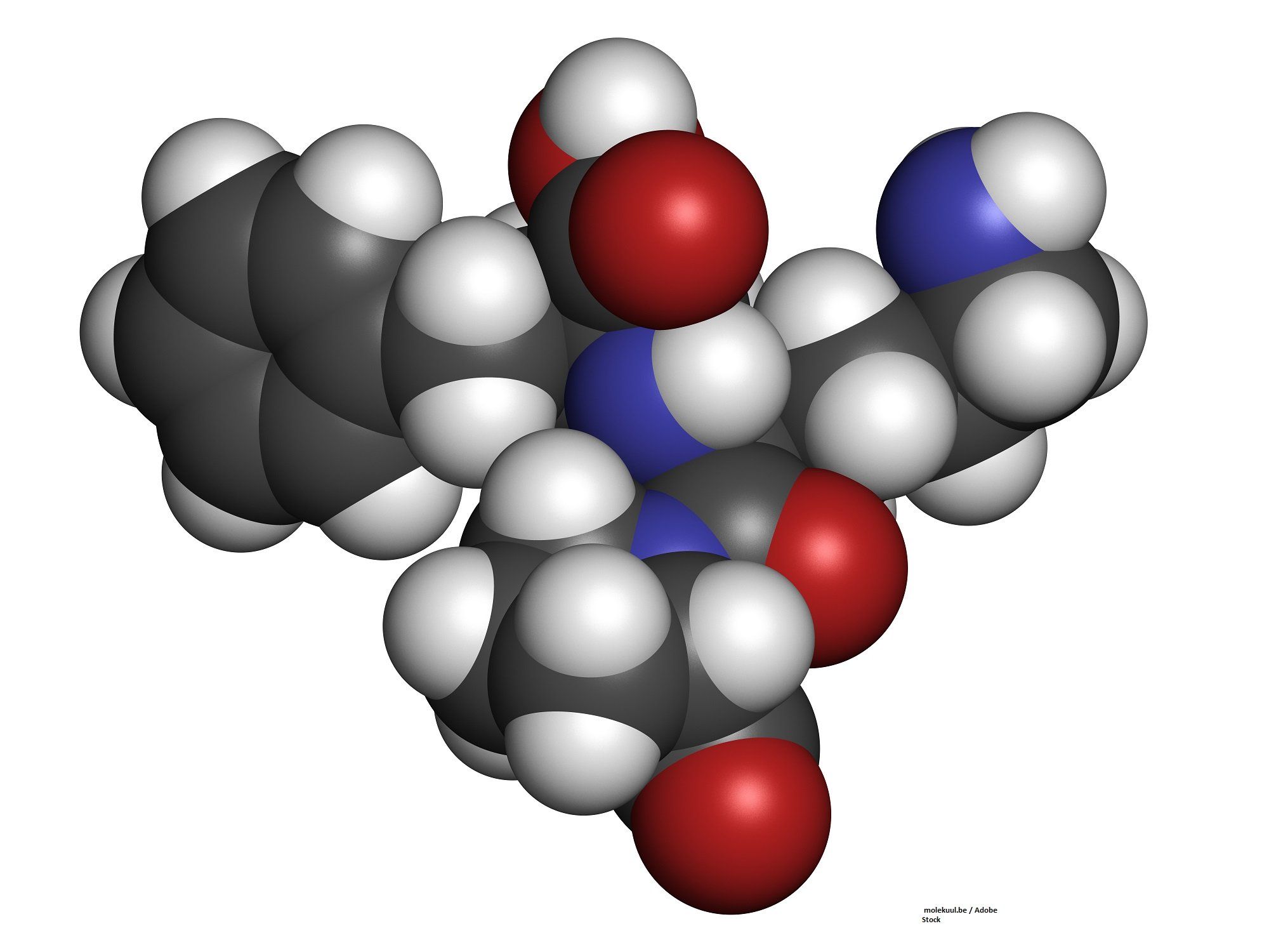 cardiotoxicity, HER2, breast cancer