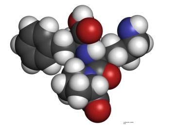 cardiotoxicity, HER2, breast cancer