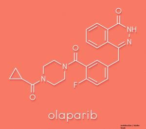 Olaparib Shows Activity in Castration-Resistant Prostate Cancer With DDR Gene Defects