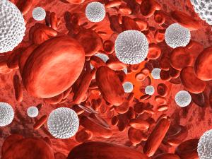 cancer in white blood cells