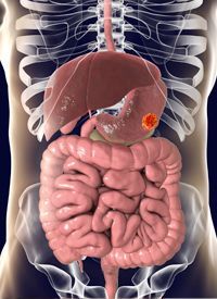 Patients with previously untreated advanced gastric cancer, gastroesophageal junction cancer, and esophageal adenocarcinoma continue to benefit from treatment with nivolumab and chemotherapy.