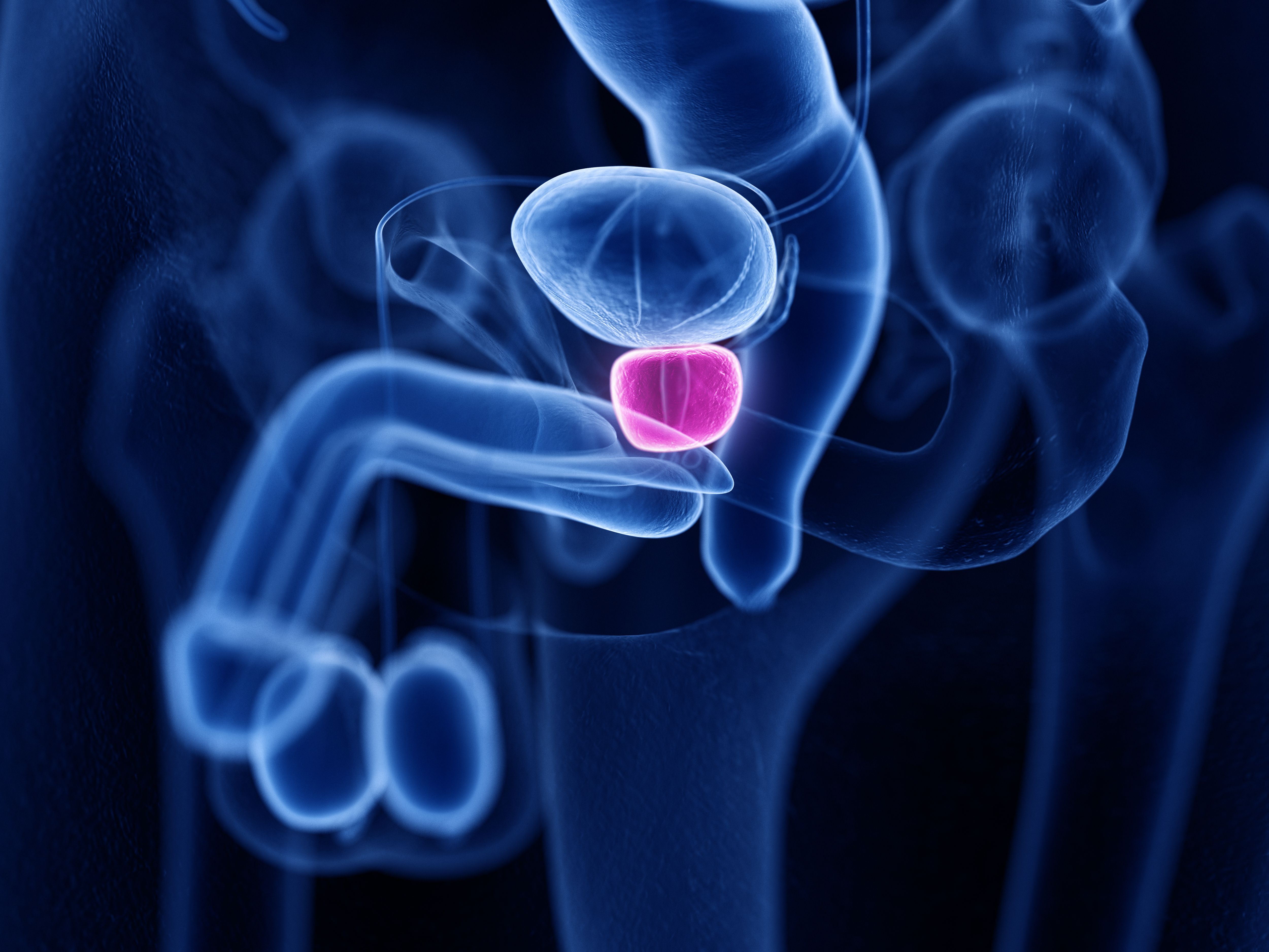 Evaluating HRR and MMR in Advanced Prostate Cancer: © Sebastian Kaulitzki - stock.adobe.com