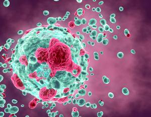 Combination Therapy With Ibrutinib and Venetoclax Bests Chlorambucil/Obinutuzumab for CLL