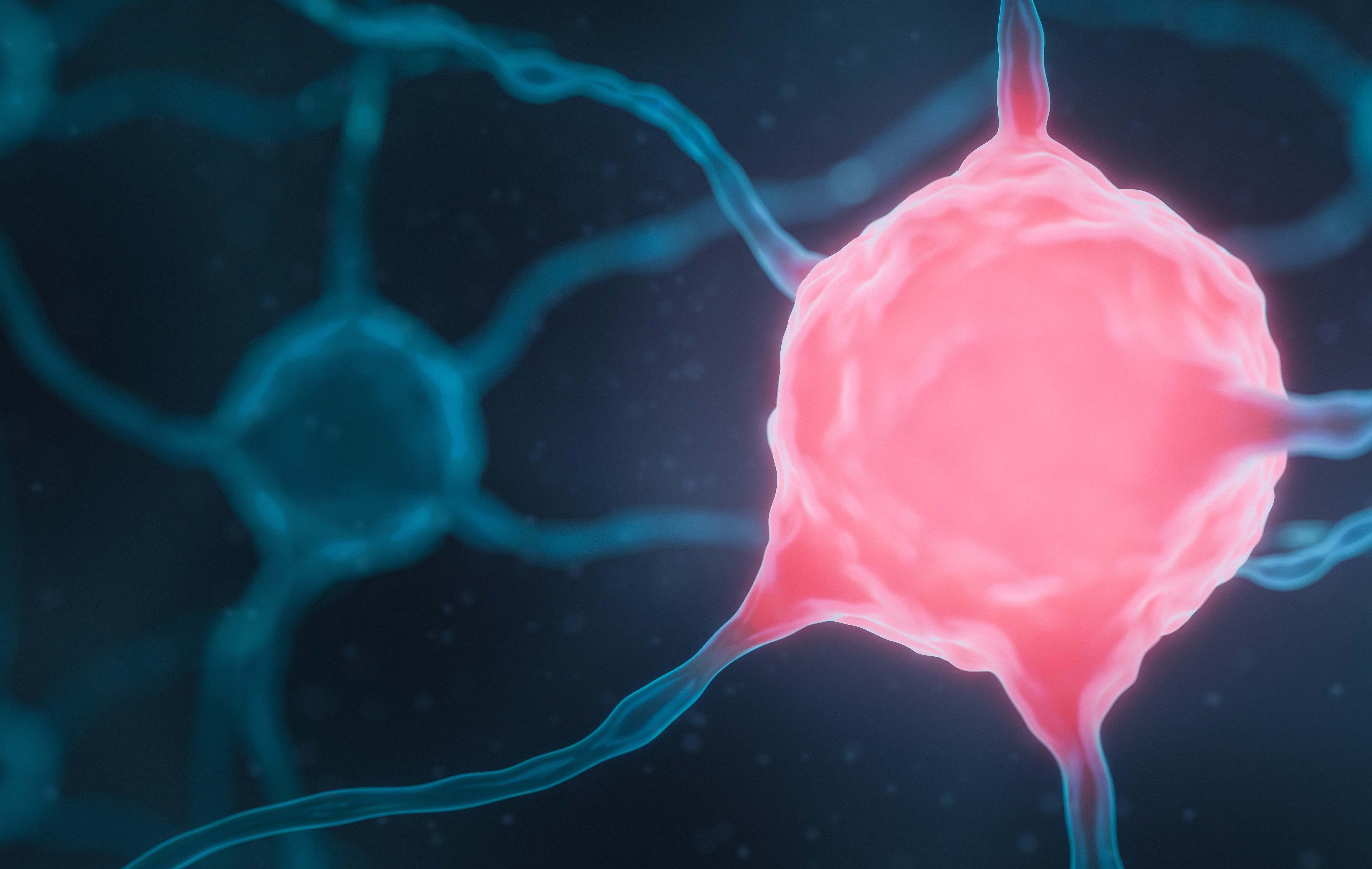 In December 2024, the FDA approved subcutaneous nivolumab and hyaluronidase-nvhy as a treatment for patients in all solid tumor indications for which nivolumab has already received approval.