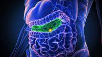 FDA Grants HDE Approval to OncoSil Device in dCCA: © Thipphaphone - stock.adobe.com