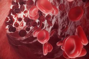 Data from the TANDEMM trial show enduring responses with concurrent anti-GPRC5D and anti-BCMA therapy in relapsed/refractory multiple myeloma.