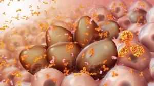 Updated findings from AURIGA support the value of adding subcutaneous daratumumab to lenalidomide maintenance in MRD-positive NDMM after transplant.