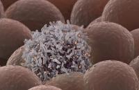 PAS-004 was deemed safe and tolerable when given in 37 mg capsules, so the trial will proceed to administer the agent in 45 mg capsules.