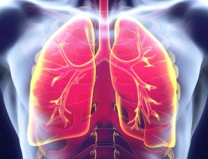 Explore innovative strategies and emerging therapies transforming small cell lung cancer treatment, enhancing patient outcomes and survival rates.