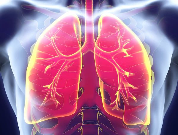 Ateganosine plus cemiplimab showed an acceptable safety profile among patients with third-line NSCLC in the phase 2 THIO-101 trial.