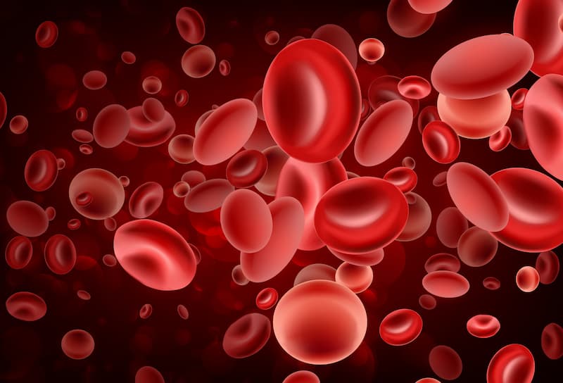 LEAD 2022: Enriching Experiences for Women in Hematology & Oncology