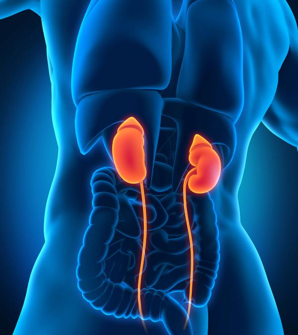 Belzutifan plus adjuvant pembrolizumab conferred a 28% reduction in the risk of disease recurrence or death in those with high-risk ccRCC following nephrectomy.