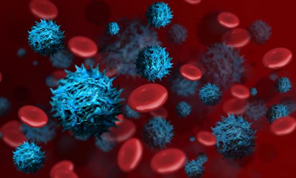 Red blood cells with cancer cells | Image Credit: © Jennifer - stock.adobe.com.