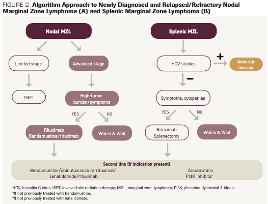 Involuting Marginal Zone Marginal Zone Lymphomas: ESMO Clinical Practice Guidelines, 41% OFF