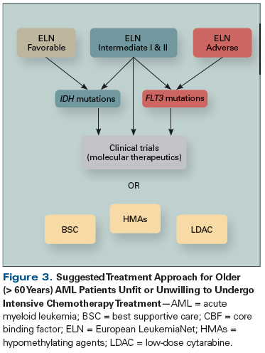 AML treatment algorithm elderly patients