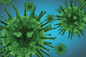 The Negative Impact of the COVID-19 Pandemic on Oncology Care at an Academic Cancer Referral Center