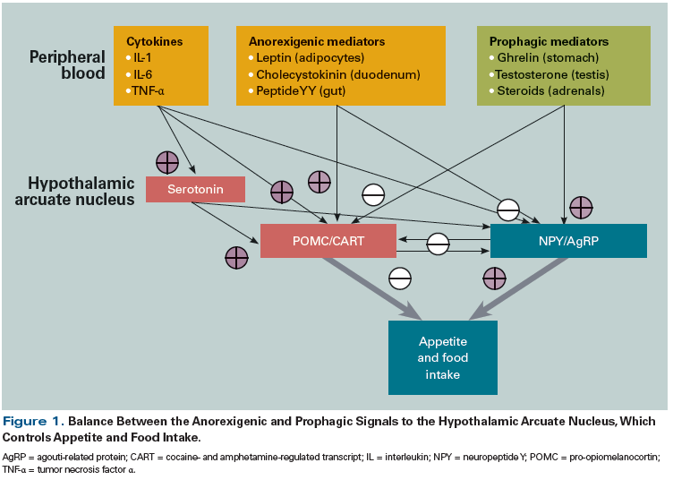 The Evolving Approach To Management Of Cancer Cachexia The Evolving Approach To Management Of Cancer Cachexia