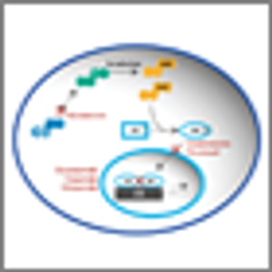 Sequencing of Agents for Castration-Resistant Prostate Cancer