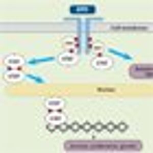 Clarifying the Use of Ruxolitinib in Patients With Myelofibrosis